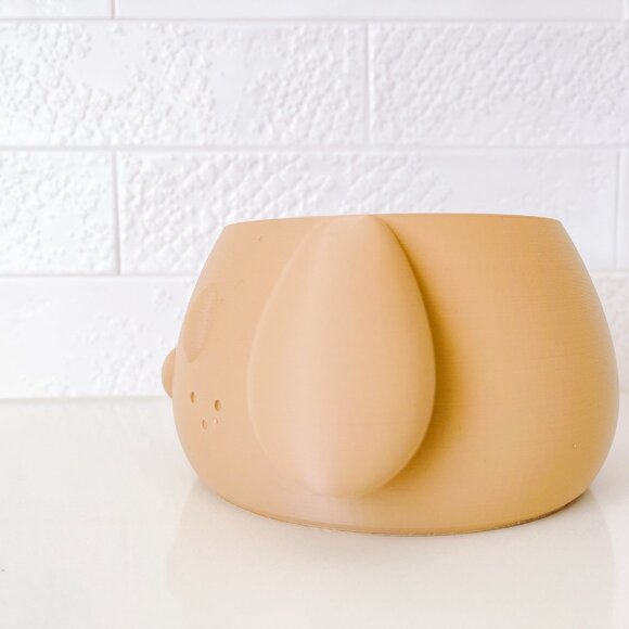 animal pots - plant pots for lined plants - Picture 8 of 16